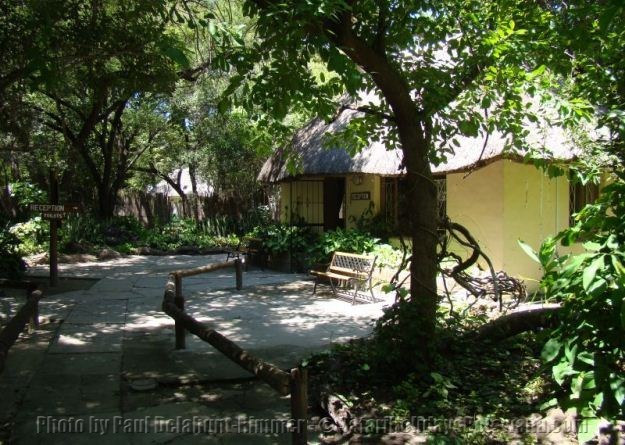 island safari lodge campsite